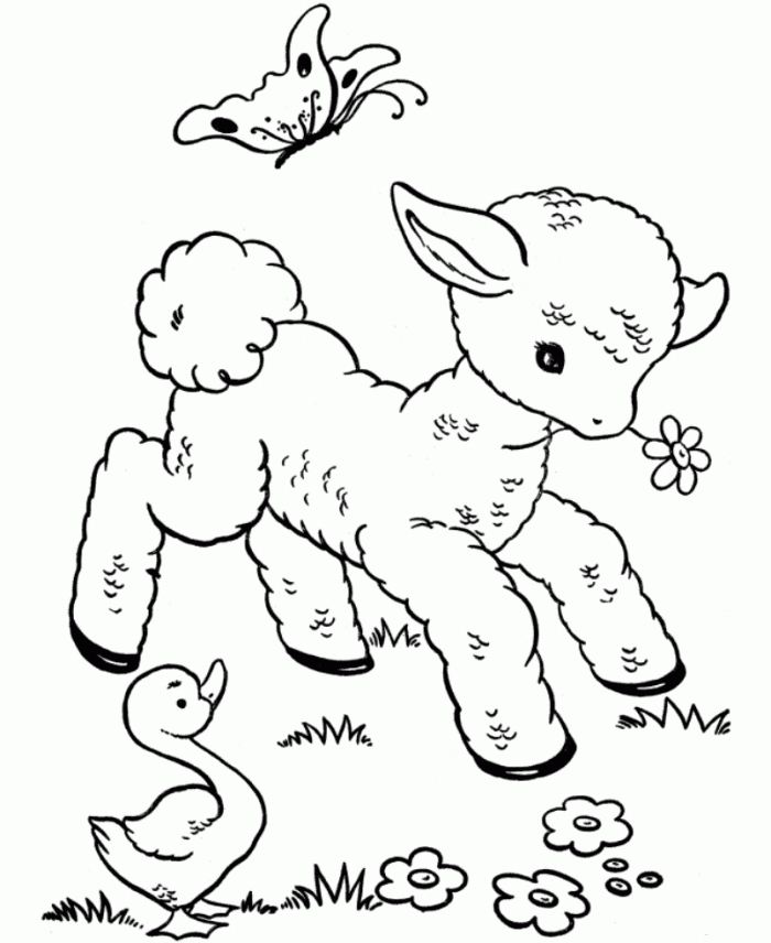 700x856 Lamb Coloring Page New Free Printable Sheep Coloring Pages