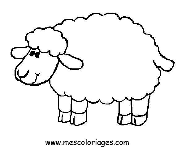 572x477 Sheep Coloring Page Printable