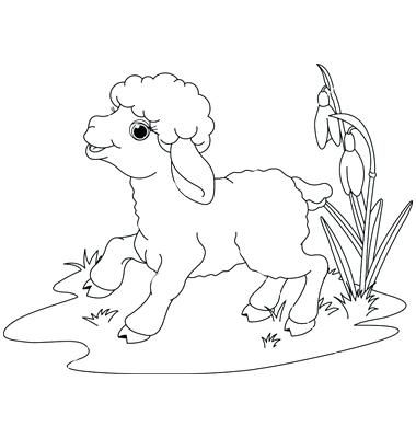 380x400 Hickory Dickory Dock Coloring Page Lamb Coloring Page Hickory