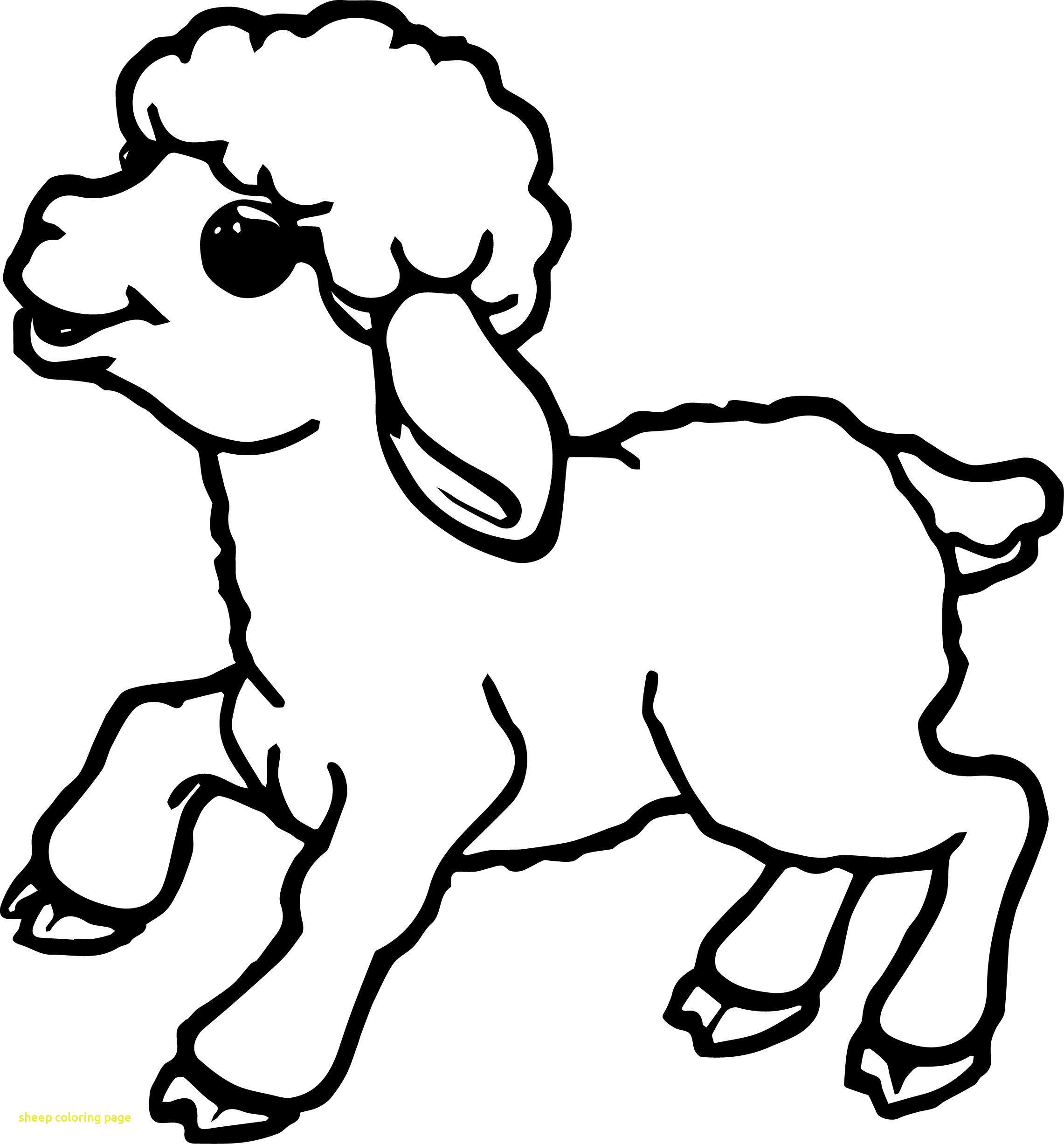 2282x2453 Lamb Coloring Sheet 8825 Lamb Coloring Page Free Coloring Pages