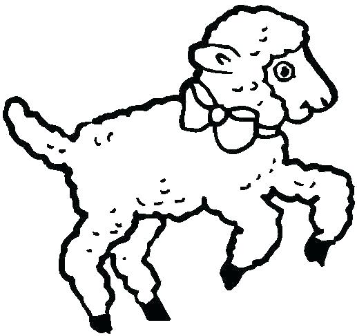 517x486 Good Lamb Coloring Page Or Click The Lamb Coloring Pages Lamb Lion