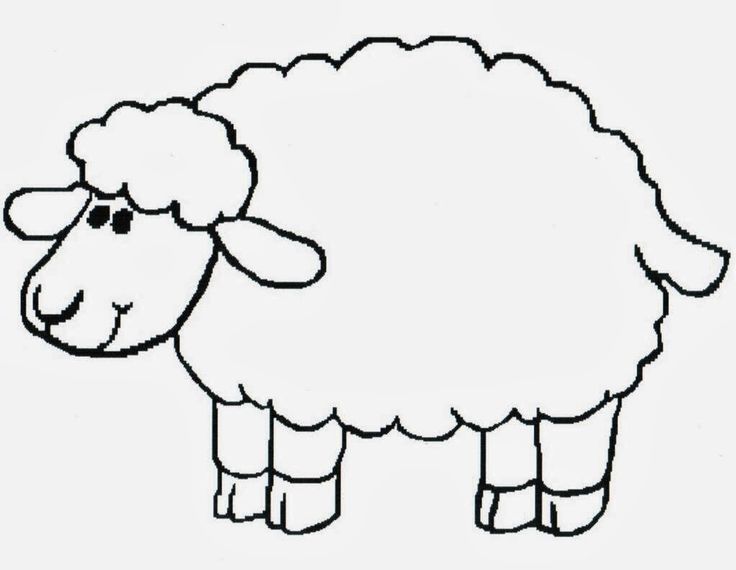 Lamb Coloring Sheet Coloring Page Sporturka Lamb Coloring Sheet 736x570 Lamb Coloring Sheet Coloring Page Sporturka Lamb Coloring Sheet