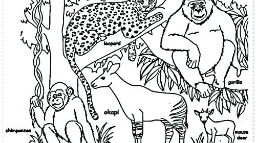 500x280 Jungle Animals Coloring Pages Jungle Animal Coloring Pages