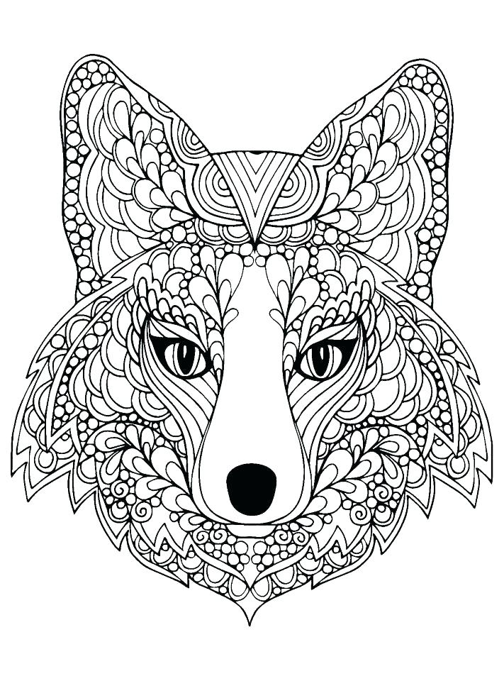 711x960 Zoo Animals Coloring Pages Printable Coloring Pages Animals