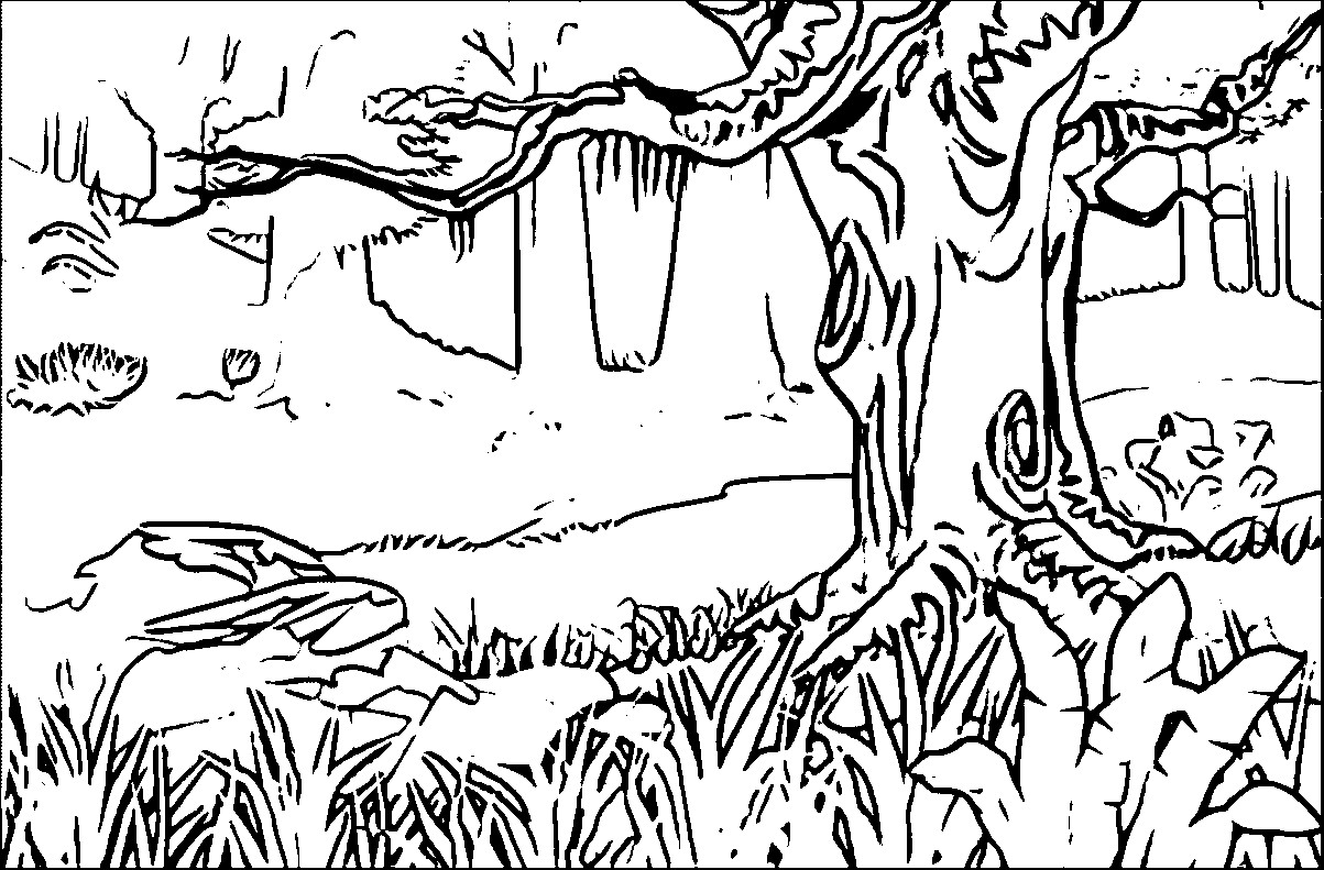 1203x791 Landscape Coloring Pages For Adults To Print Best Of Spring