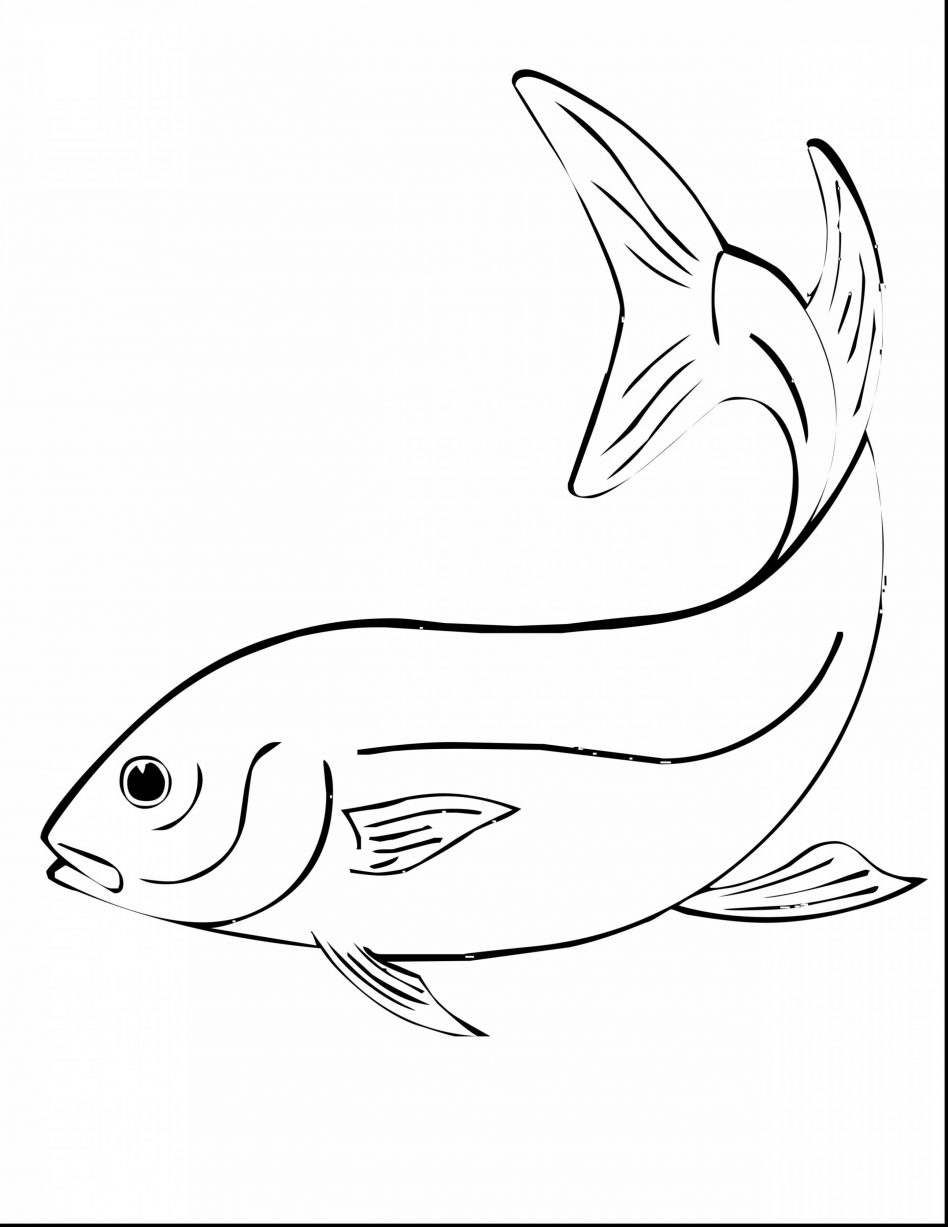 Walleye Coloring Page With Wallpapers Laptop Mayapurjacouture Com 948x1227 Walleye Coloring Page With Wallpapers Laptop Mayapurjacouture Com