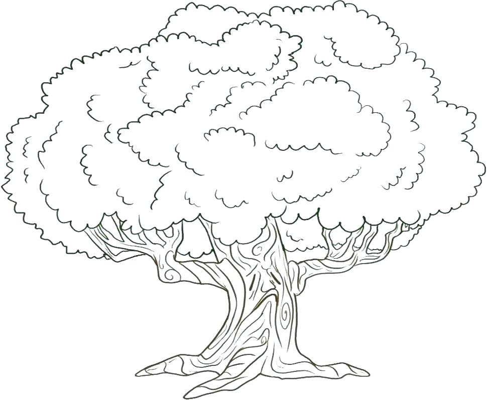 Coloring Pages Tree Coloring Page A Tree Coloring Pages 970x798 Coloring Pages Tree Coloring Page A Tree Coloring Pages