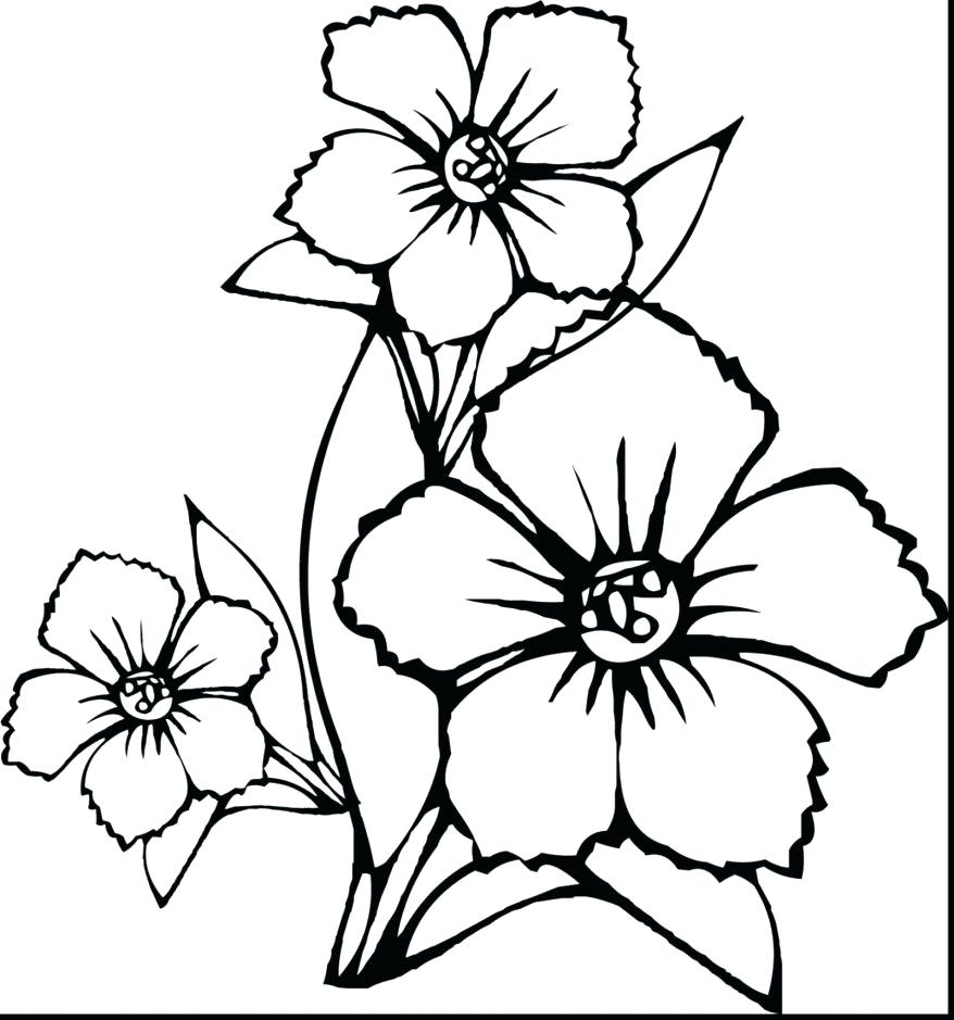 Coloring Pages ~ Spring Flowers Coloring Pages Fabulous How 878x939 Coloring Pages ~ Spring Flowers Coloring Pages Fabulous How