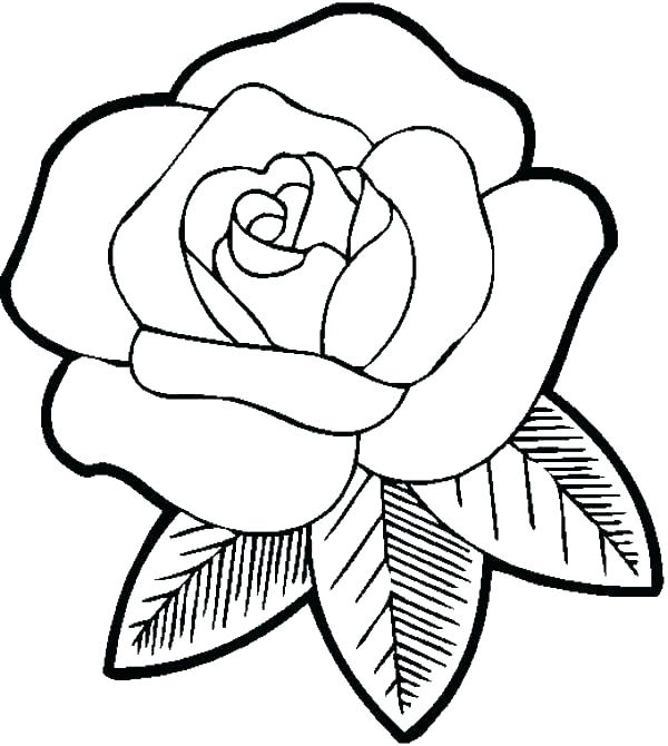Coloring Pages Cool Printable Flower Template Printable Paper 5 600x670 Coloring Pages Cool Printable Flower Template Printable Paper 5