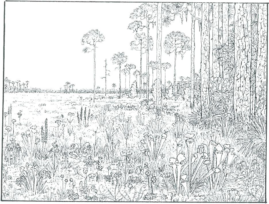 Difficult Mandala Coloring Pages Exciting Hard Mandala Coloring 936x708 Difficult Mandala Coloring Pages Exciting Hard Mandala Coloring