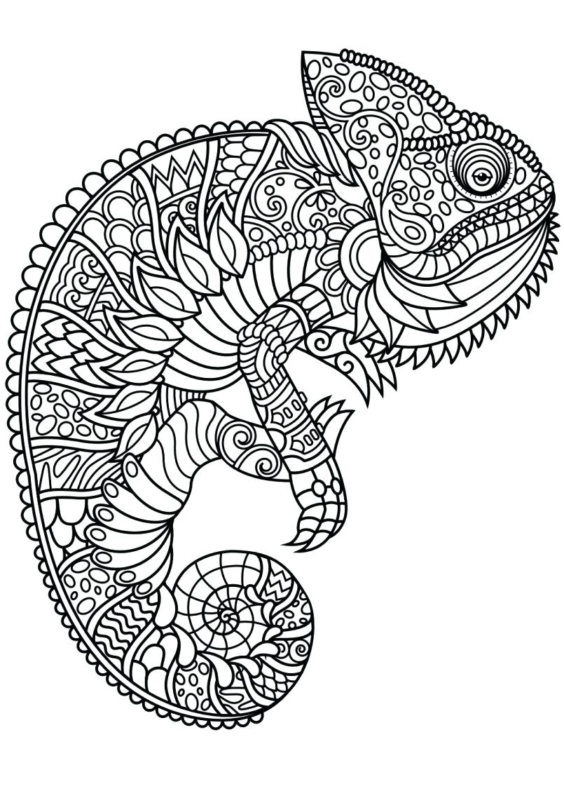 Coloring Page ~ Animal Mandala Coloring Pages Also With Farm Pdf 805x1138 Coloring Page ~ Animal Mandala Coloring Pages Also With Farm Pdf