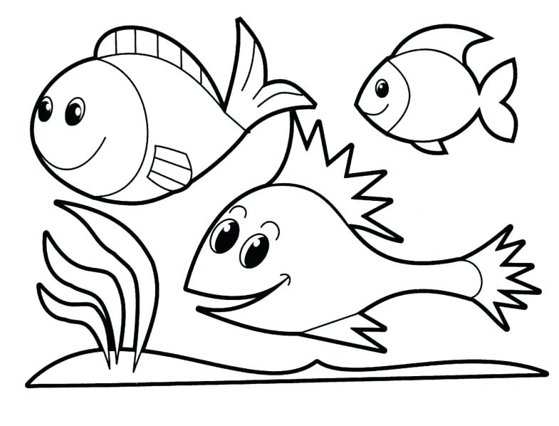 Bass Coloring Pages Fish Coloring Pages Fish Coloring Sheets Fish 785x598 Bass Coloring Pages Fish Coloring Pages Fish Coloring Sheets Fish
