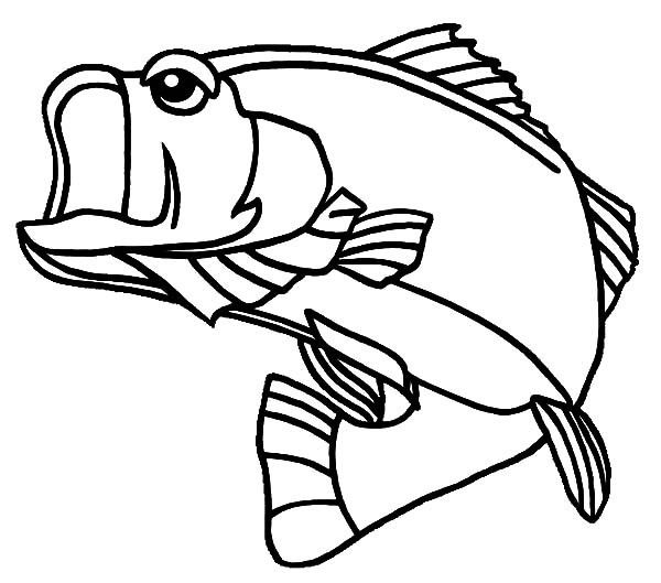 Bass Fish, Georgia Largemouth Bass Fish Coloring Pages Happy 600x529 Bass Fish, Georgia Largemouth Bass Fish Coloring Pages Happy