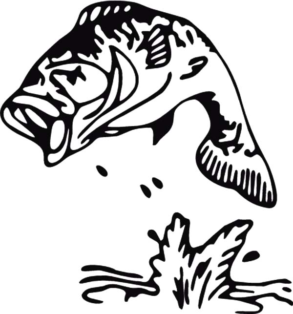 Largemouth Bass Fishing Coloring 600x643 Largemouth Bass Fishing Coloring