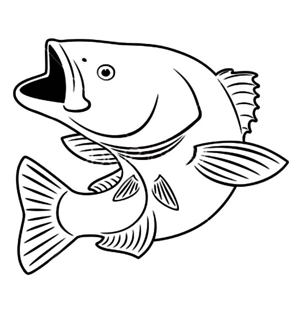 Texas Largemouth Bass Fish Coloring Pages Best Place To Color 600x632 Texas Largemouth Bass Fish Coloring Pages Best Place To Color