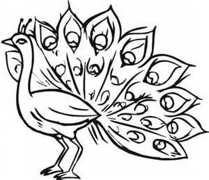 Peacock Coloring Pages Pavo Cristatus The Latin Name Of Peacock 300x259 Peacock Coloring Pages Pavo Cristatus The Latin Name Of Peacock