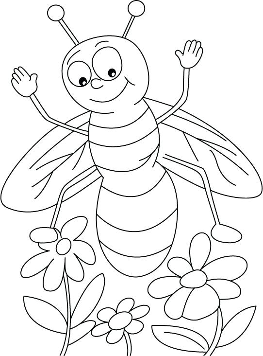 542x732 Honey Bee Coloring Pages Jasmine Or Lavender Honeybee Everywhere