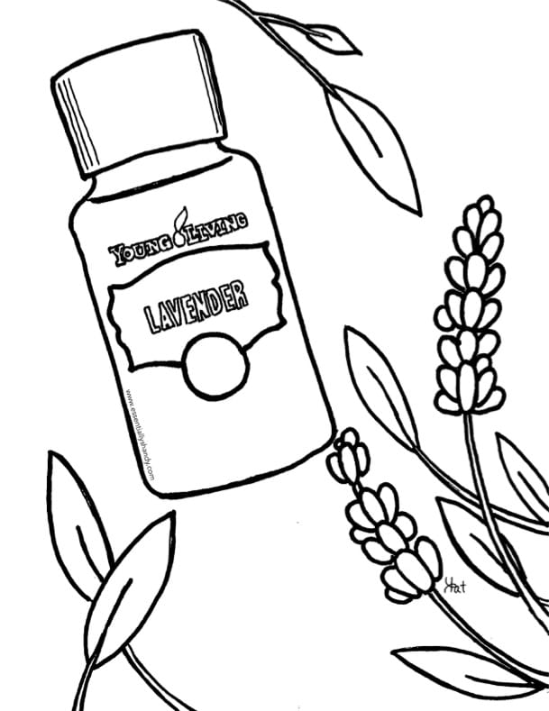 609x789 Kids Zone Essentially Shandy