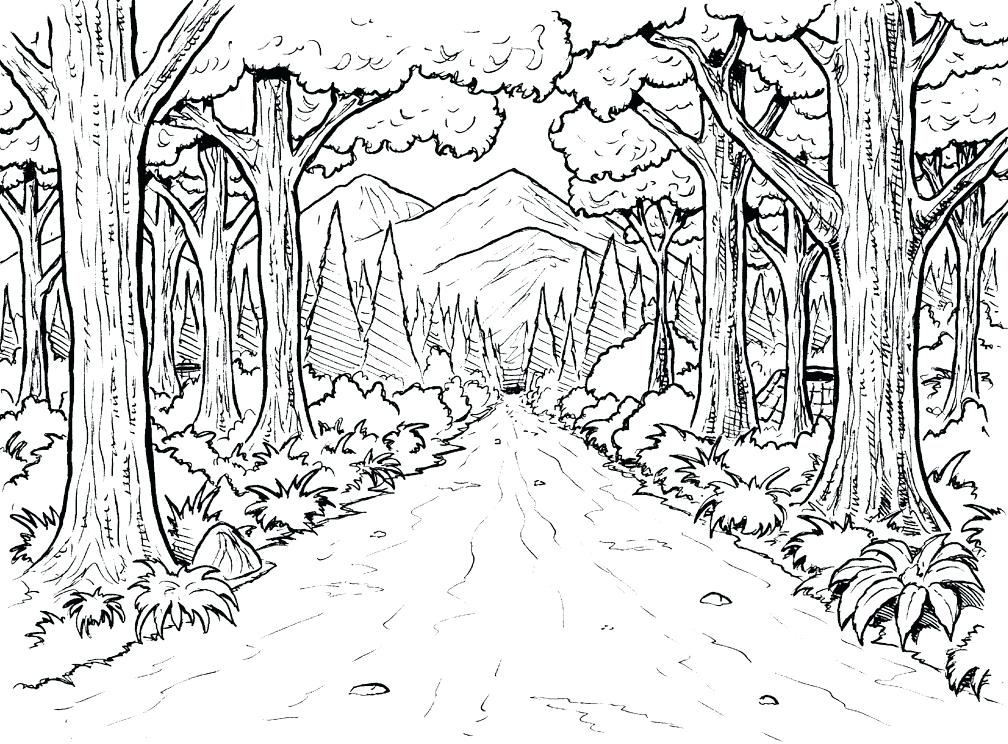 Rainforest Coloring Page Forest Background Coloring Page Below Are 1008x744 Rainforest Coloring Page Forest Background Coloring Page Below Are