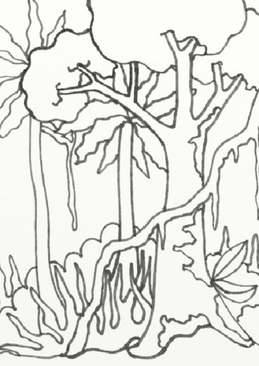 Rainforest Coloring Pages Luxury Wild Treasures Amazon Coloring 520x735 Rainforest Coloring Pages Luxury Wild Treasures Amazon Coloring