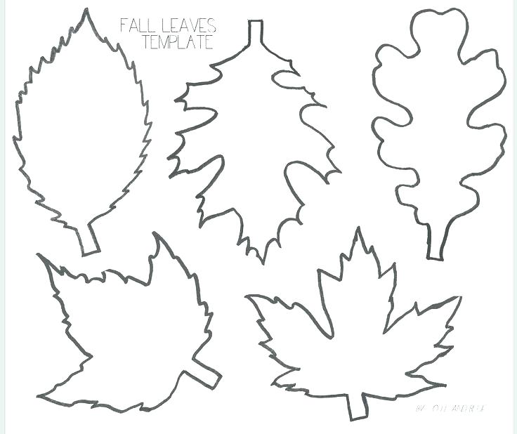 736x618 Fall Leaf Coloring Page Unique Free Printable Leaf Patterns Leaves