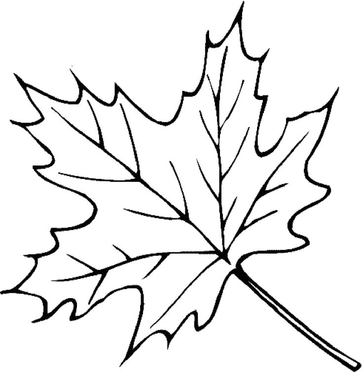 736x755 Mejores 20 De Leaves Coloring Pages En
