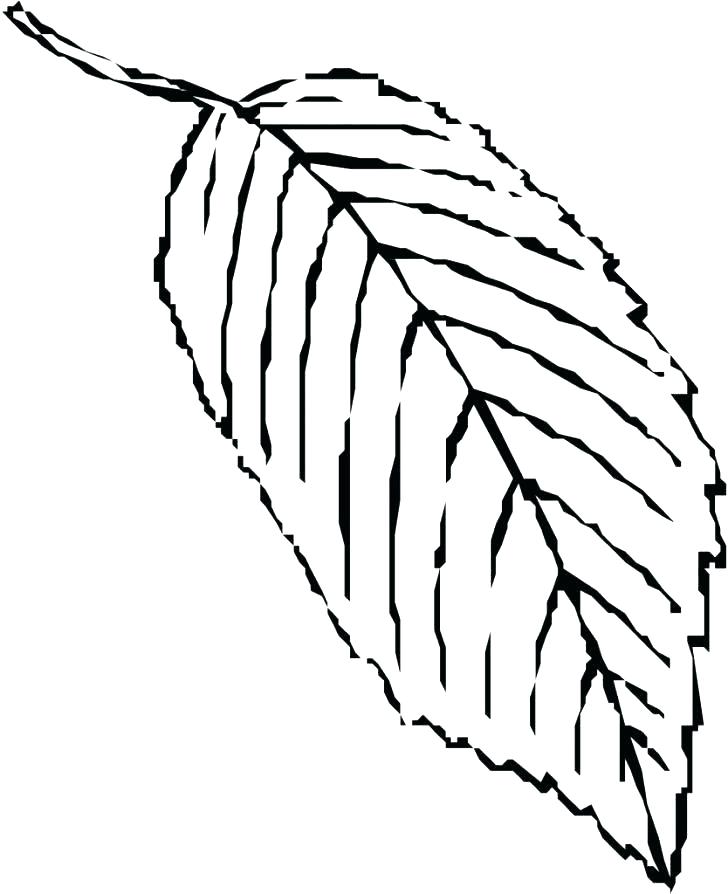 728x894 Coloring Page Leaf Leaf Coloring Page Thanksgiving Leaves Coloring