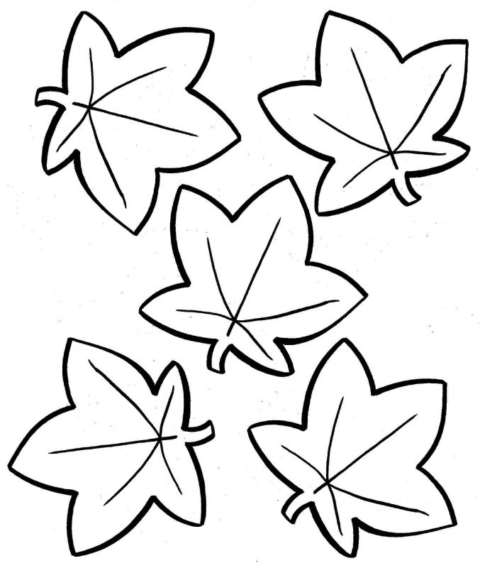 Leaf Coloring Pages For Preschool