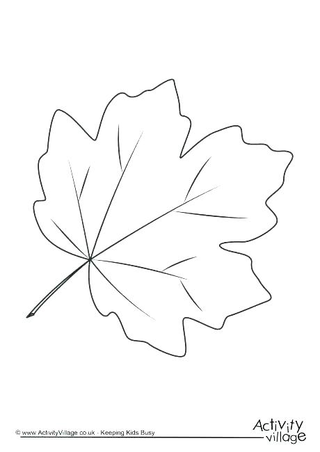 460x650 Leaf Color Pages Fall Leaves Coloring Pages For Preschoolers Leaf
