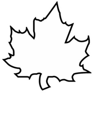 315x420 Leaf Coloring Pages 3 Coloring Pages To Print