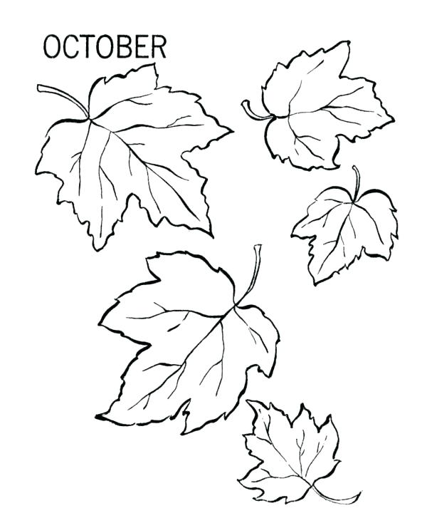 600x734 Coloring Page Fall Coloring Pages Fall Leaves Fall Leaves Coloring