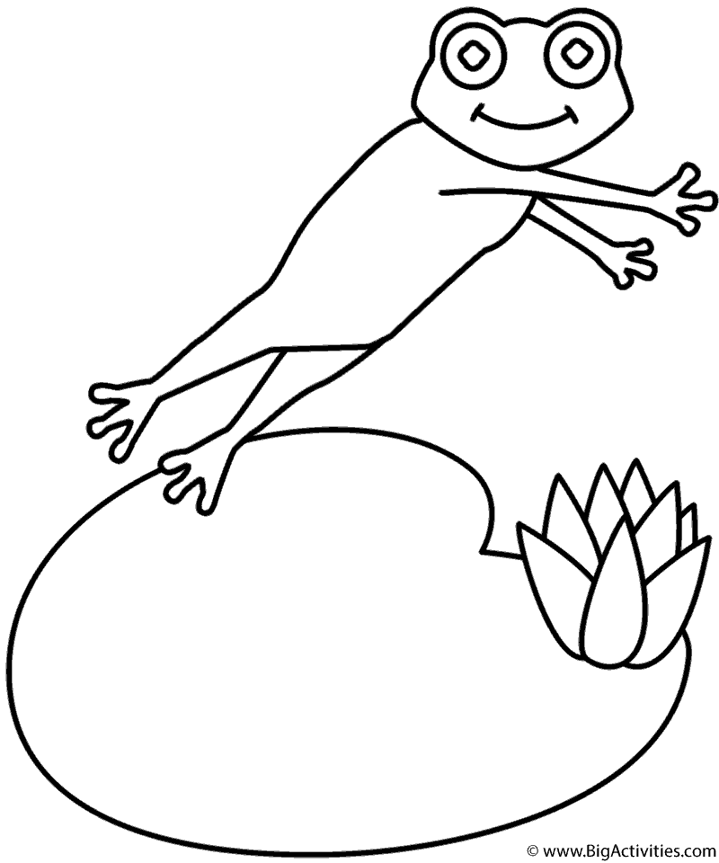 Frog And Lily Pad 800x960 Frog And Lily Pad