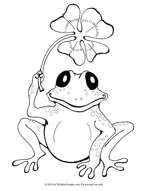 588x762 Free Printable Frog Coloring Pages Leap Year Page Red Eyed Tree
