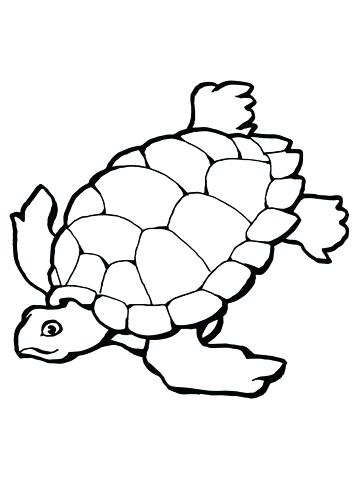 360x480 Sea Turtles Coloring Pages Swimming Sea Turtle Coloring Page Cute