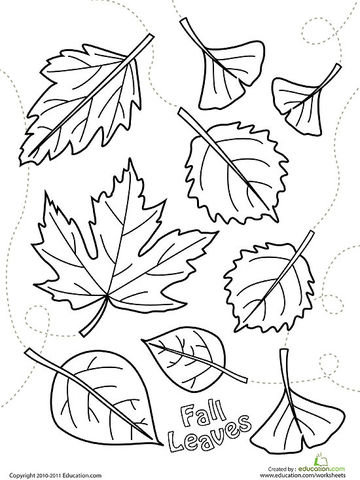 360x480 Fall Leaves Coloring Pages Printable 11