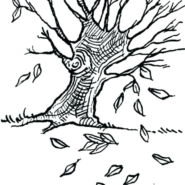 600x600 Fall Leaves Coloring Pages Printable Plus Fall Leaf Coloring Page