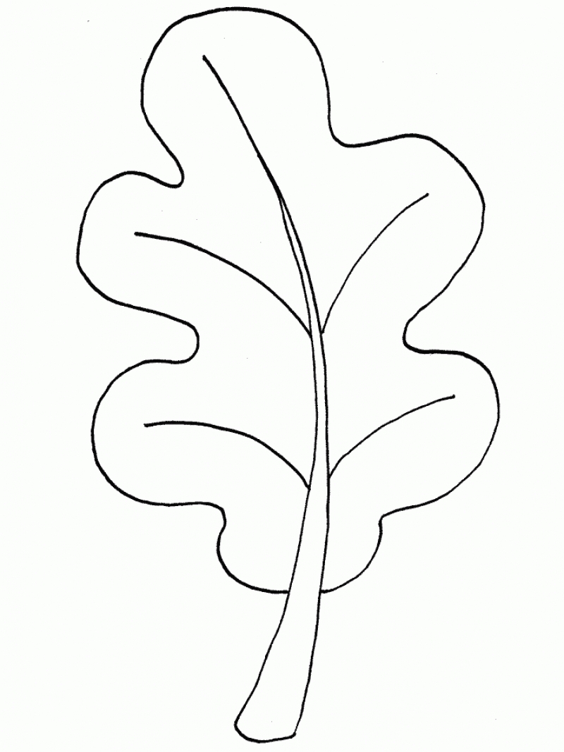 800x1067 Leaf Coloring Pages