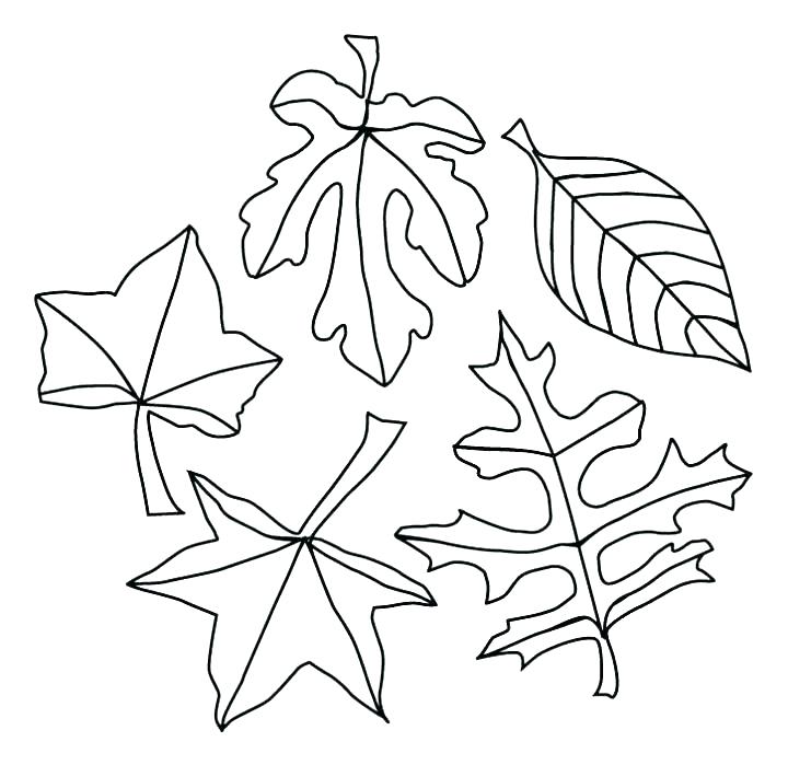 720x699 Leaf Coloring Pages Printable Autumn Leaf Coloring Pages Autumn