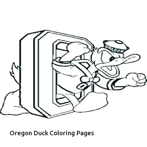 600x600 James Coloring Pages Impair.co