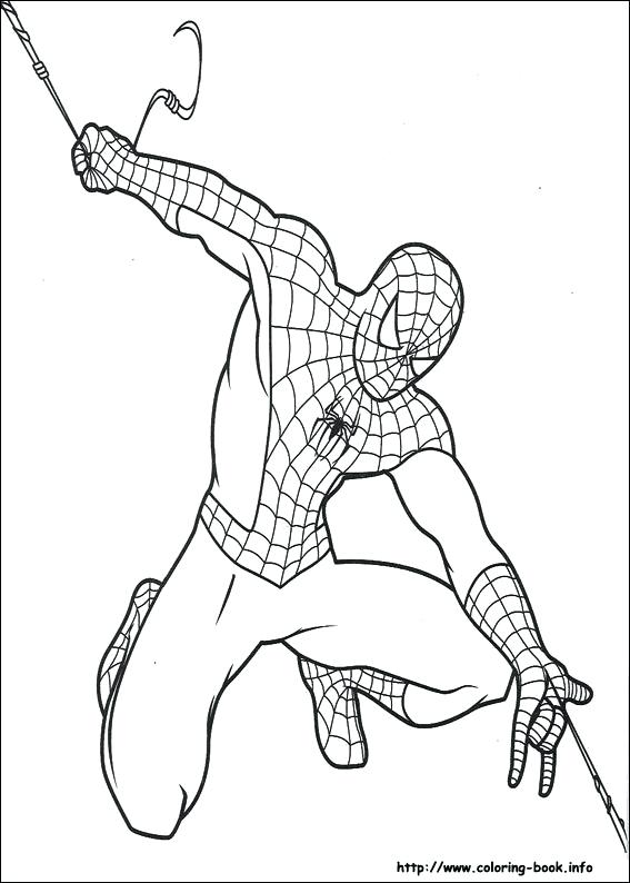 Spiderman Color Page Drawings To Color Coloring Pages On Coloring 567x794 Spiderman Color Page Drawings To Color Coloring Pages On Coloring