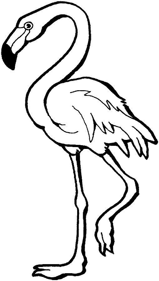 This Coloring Page For Kids Features A Flamingo Standing On One 509x900 This Coloring Page For Kids Features A Flamingo Standing On One