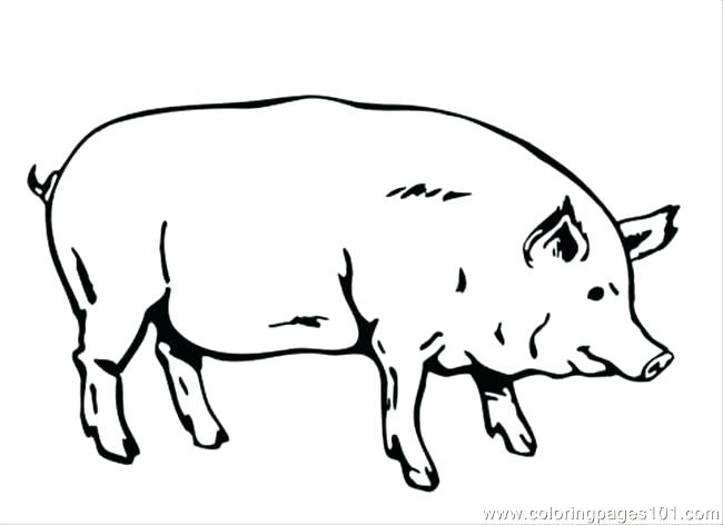650x472 Olivia Coloring Pages Ideal Pig Coloring Pages Fee Page Free Lego