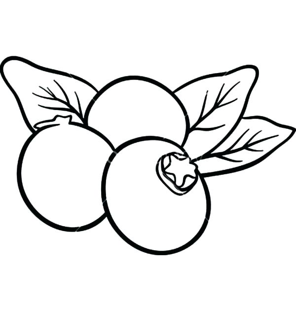 600x632 Lemon Coloring Page Lemon Coloring Page Blueberry Fruits