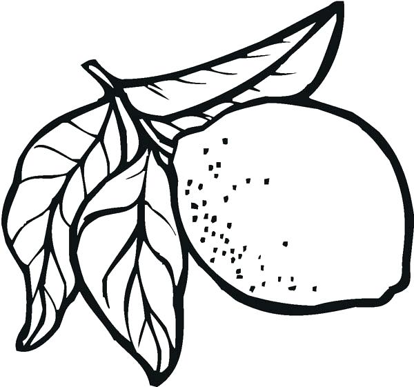 600x561 Lemon Coloring Page Lemon For Sale Coloring Page Lemon Meringue