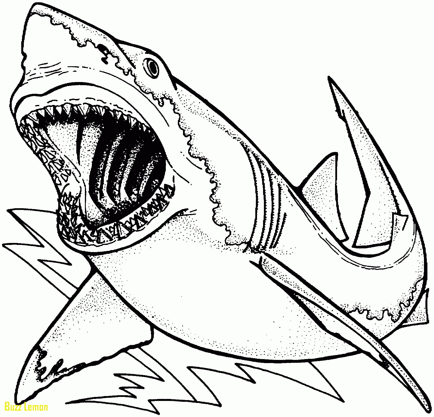 1513x1454 Coloring Page Shark Luxury Unique Whale Shark Coloring Page Cool