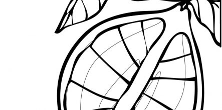 443x220 Mona Lisa Coloring Page 22915