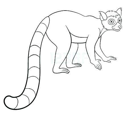 450x407 Lemur Animal Coloring Pages La Ring Tailed Lemur Coloring Page