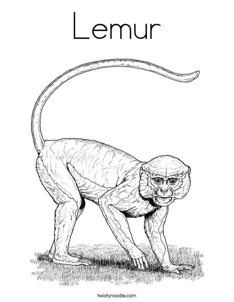 468x605 Lemur Coloring Page