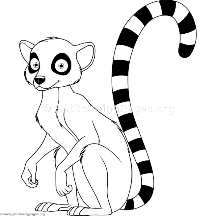700x700 Lemur Coloring Pages