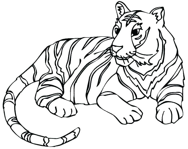 755x600 Leopard Coloring Pages Snow Leopard Coloring Pages Snow Leopard